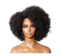 14inch Afro Kinky Curly Wigs 250 High Density 13x4x2 Lace Front Wig Natural Looking