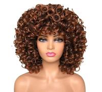 14inch Short Curly Afro Synthetic Wig with Bangs,Women Kinky for Daily Use,180 Density Fluffy and Natural(2-30)