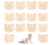 14pcs Baby Monthly Milestone Cards, Wooden Baby Announcement Sign Cards Cute Baby Hello World Name Month Signs Newborn Sign for 1st Birthday Party Baby Showers