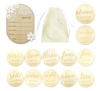 14PCS Wooden Baby Milestone Cards Set with Hello World Birth Announcement Plaque Monthly Milestone Discs Monthly Growth Recording Photo Props for Newborn Boys Girls 0-12 Months