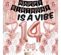 14th Birthday Decorations Rose Gold - Happy Birthday 14 Is A Vibe Banner Foil Latex Balloons Cake Topper, Tinsel Curtain for 14 Years Old Girls Party Decoration Supplies