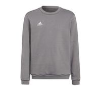 (15-16 Years, Grey) Adidas Childrens/Kids Entrada 22 Crew Neck Sweatshirt
