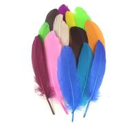 15-20cm 50 PCS Mixed Color Feathers Natural Goose Feathers for DIY Wedding Decorations Angel Wings & Fairy Crafts