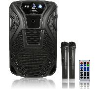 15" Busker PA with VHF Mics Media Player with USB SD FM Bluetooth and Battery
