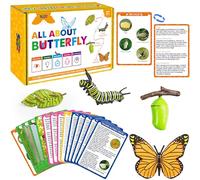 15 Butterfly Life Circle Flashcards with 4 Plastic Figurines, Butterflies Introduction Cards Plastic Insects Egg to Butterfly Kit Toy for Kids, Adults, Animal Lovers