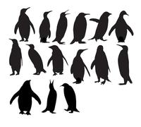15 Cute Penguin Silhouette Sticker Pack - Waterproof Vinyl Decals - Car Bumper - Light Switch - Wall Art - Party Bag Fillers - Animal Nursery Decor (Black, 5cm (2") Tall)