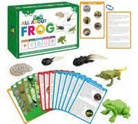 15 Frog Life Circle Flashcards with 5 Plastic Figurines, Frogs Introduction Cards Plastic Insects Tadpole to Frog Kit Toy for Kids, Adults, Animal Lovers