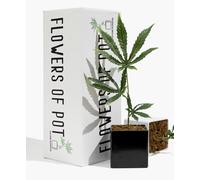 15 Inch Lifelike Artificial Marijuana Leaf Plant for Home Decor, Zero Maintenance Faux Indoor Plant - UV Resistant, Ideal for Room, Office, Shelf, Pranks & Gifts