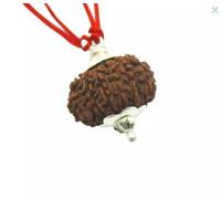 15 Mukhi Nepal Rudraksha Original Silver Pendant Energized, Medium 24mm-25mm, Rudraksha