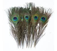 15 Pack Peacock Feather Natural in Bulk 10 to 12 in Small Eye Feathers for Crafts Vase Wedding Home Party and Christmas Decoration