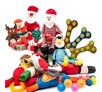 15 Pcs Assorted Pet Toys Interactive Dog Toys for Boredom | Dog Chew Toy Plush Spike Squeaky Honking Puzzle Rope Light Ball for Dogs | Dog Toys Gifts (Assorted (15 Pcs))