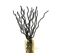 15 Pcs Dried Curly Willow Branches, 23 Inch Natural Dried Plants Decorative Branches Sticks for DIY Crafts, Vases Wedding Home Decor, without 3 Mini Gourds