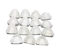 15 Pcs Full Mouth Plaster Cast Missing Half-Mouth Model Upper and Lower Jaw Edentulous Edentulous Dental Model for Study Teaching