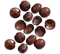 15 Pcs Pre-Drilled Nutmeg Fruit Shells, Natural Brown with Holes for DIY Fruit Shell Wind Chime Components, Handmade Rattle Craft Material, Small Musical Instrument Charm Pendants