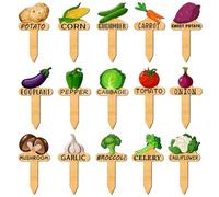 15 PCS Vegetable Patch Sign for Indoor Outdoor Potted Seed Stake Sign | Watercolor Funny Vegetable Plant Labels, Wooden T Type Wooden Plant Labels for Seedling Identification Flower Pot Signs