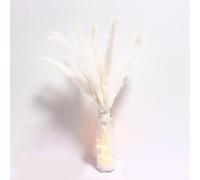 15 Pcs White Natural Dried Pampas Grass for Vase with String Light, Dried Flowers for Hexagonal Vase Dried Pampas Grass Boho Table Decor Dry Flowers for Decoration Wedding Vases Decor Arrangements