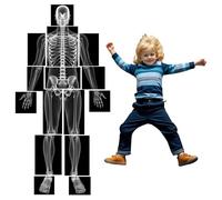 15 Pcs X-ray Film Learning Kit for Kids Educational Kit for Human Body Lightweight Tabletop Equipment Montessori Reggio Inspired