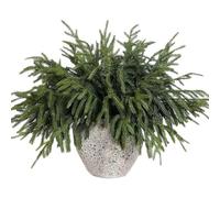 15-Piece Real Touch Artificial Christmas Decorations Greenery Bundle - 18" Norfolk Pine Stem Branches & Artificial Holly Stems Picks for Vase Fillers, Wreath Making, and Festive Table Centerpieces (A)