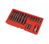 15 Piece Ribe Bit Set Socket Set (Neilsen Ct0120)