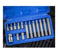 15 Piece Torx Bit Set