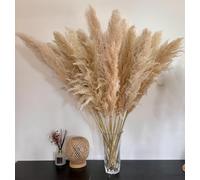 15 Pieces Large Pampas Grass, Natural Fluffy Dried Flowers Bouquet, Pampas Grass, XXL for Home Decor, Boho Home Decor, Wall Decor, Table, Wedding, Bedroom (100cm)