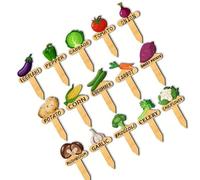 15 Pieces Painted Garden Stakes Featuring Waterproof Vegetable Labels for Container Planting Vegetable Identification