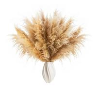 15 Pieces pampas grass large pampas grass XXL (100cm/39inch) dry flower large for boho decoration, wedding, living room decoration - LUFTSCHLOSS (100cm-15pcs)