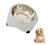 15° Tilted Elevated Cat Bowl, 300ML Stainless Steel Pet Elevated Neck Bowl with Stable Base, Ergonomic Raised Feeder for Kitten, Puppies
