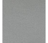 15 x A4 Centura Pearlescent Card Essential Platinum 310gsm (White on reverse)