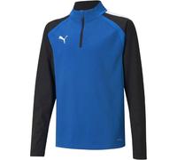 (15 Years, Blue) Puma Childrens/Kids TeamLIGA Quarter Zip Fleece Top