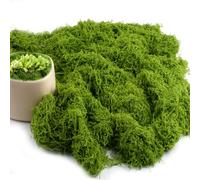 150 g Artificial Moss for Decorating, Moss Decoration, Moss for Crafts, Iceland Moss, Artificial Grass for Crafts, Artificial Plant, Fake Plants for Planters, Artificial Plants, Aquarium, Nativity