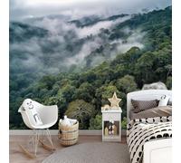 150 x 105 cm Wall Murals, Green Nature Mystery Tropical Cloud Forest Non-Woven Mural Paste the Wall Covering, Large Photo Wallpaper for Living Room Bedroom Kitchen Office Kids