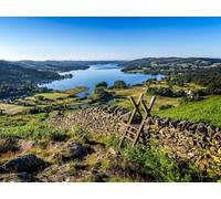 1500 Piece Fun Jigsaw Puzzles for Adults - Lake grass structure 87x57cm