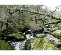 1500 Piece Fun Jigsaw Puzzles for Adults - River rocks flowing 87x57cm