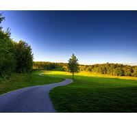 1500 Piece Fun Jigsaw Puzzles for Adults - Road turns bends 87x57cm