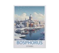 1500 Piece Jigsaw Puzzle for Adults and Children, Bosphorus, Istanbul, Stress Relief Challenge Floor Puzzle DIY Home Wall Decoration-57x87cmJ440