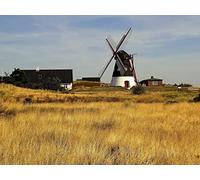 1500 Piece Jigsaw Puzzle for Adults And for Kids Age 14 And Up - Mill farm field 87x57cm