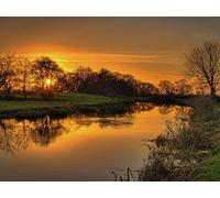 1500 Piece Jigsaw Puzzle for Adults-Relax Puzzles Games - Grass river nature 87x57cm