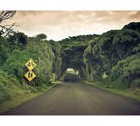 1500 Piece Jigsaw Puzzles for Adults And Kids Age 14 Years Up - Road sign trees 87x57cm