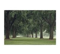 1500 Piece Jigsaw Puzzles for Adults, Forest Jigsaw Puzzles for Adults 1500 Piece, Wooden Puzzle with Color Box, Jigsaws Family Educational Games, Gifts, Home Wall Decor, Theme: (Landscape), -4122