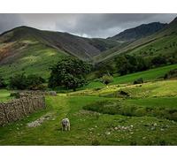 1500 Piece Jigsaw Puzzles for Adults Jigsaw Puzzles for Adults - Mountains greens pony 87x57cm