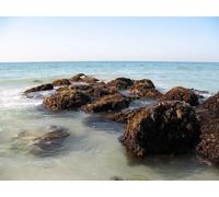 1500 Piece Jigsaw Puzzles for Adults Jigsaw Puzzles for Adults - Persian gulf uae dubai 87x57cm