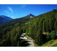 1500 Piece Jigsaw Puzzles for Adults & Kids Age 14 Years Up - Road bends forests 87x57cm
