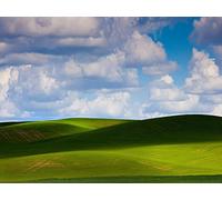 1500 Piece Jigsaw Puzzles for Adults - ows plain greens 87x57cm