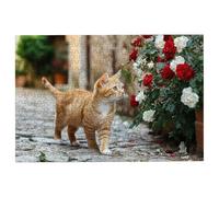 1500 Piece Jigsaw Puzzles for Adults, Rose Jigsaw Puzzles for Adults 1500 Piece, Cat Puzzle Challenging Game for the Whole Families, Classic Wooden Jigsaws Suitable for Home Decoration, Gifts -3573