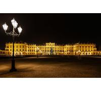 1500 Piece Puzzle - Adults Teens Kids Jigsaw Large Puzzle Toys Gift Educational Intellectual Decompressing Fun Family Game Christmas Austria Vienna (57x87cm)