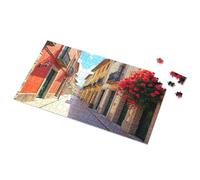 1500 Piece Puzzle Colorful Street With Hanging Flowers Picture Puzzle Jigsaw Puzzles 1000 Pieces Puzzles For Adults 500(1000PCS)