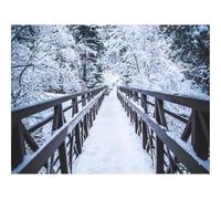 1500 Pieces Jigsaw Puzzles - Family Puzzle Game Gifts-Bridge,snow,trees 87x57cm