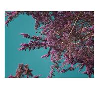 1500 Pieces Jigsaw Puzzles - Family Puzzle Game Gifts-Flowers,branches,bloom 87x57cm