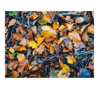 1500 Pieces Jigsaw Puzzles - Family Puzzle Game Gifts-Foliage,fallen,autumn 87x57cm
